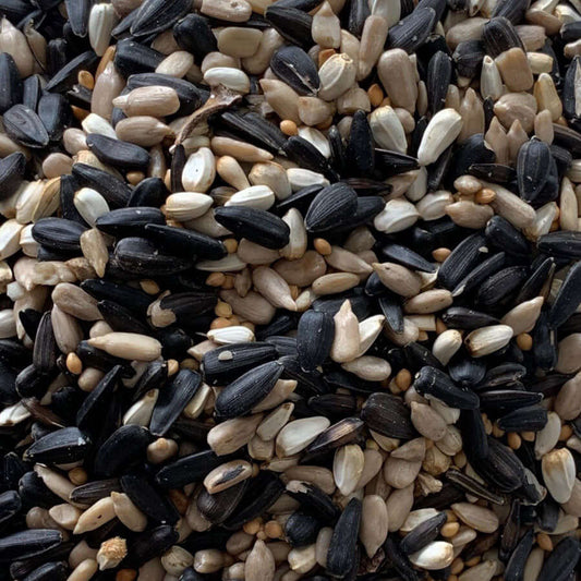 Lots of high-energy, oil-rich bird seeds hand-crafted by bird food specialists for finches, tits and sparrows - fantastic for tube-type seed feeders. 