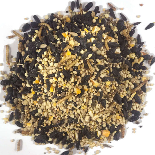 A mixed garden bird food containing Sunflower Hearts and Dried Mealworms 