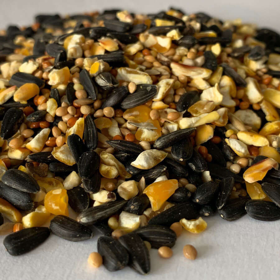 Wheat free garden bird food containing black sunflower and millet available in weights up to 20 kg