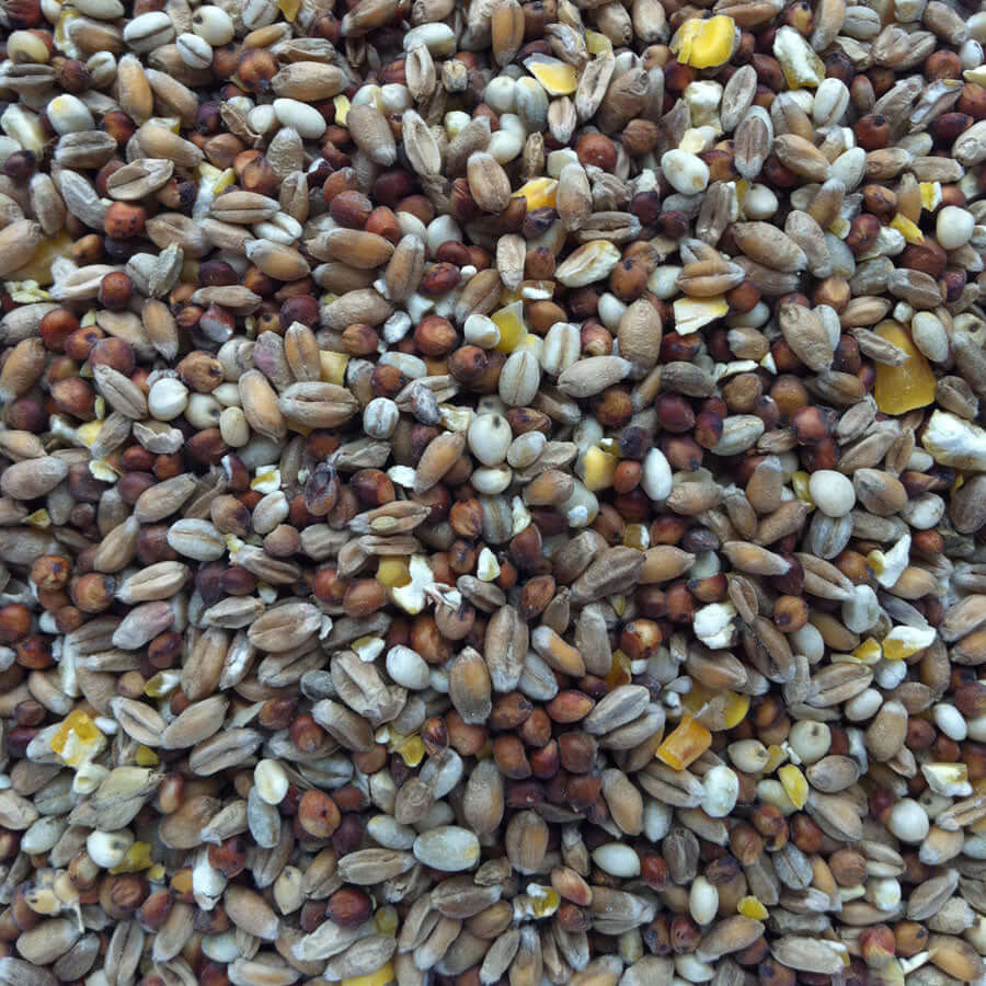 SuperClean seeds containing wheat and pearl barley  for doves, fancy pigeons, pheasants and bantams.