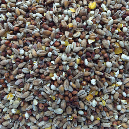 SuperClean seeds containing wheat and pearl barley  for doves, fancy pigeons, pheasants and bantams.