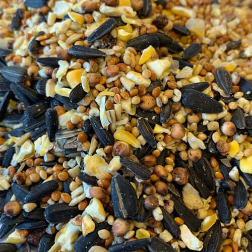 Extra oil and high-energy goodness for autumn and winter bird feeding packed with Black Sunflower and maize