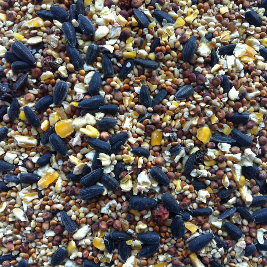 High-energy winter wild bird food seed mix with extra oil and excellent carbohydrate content