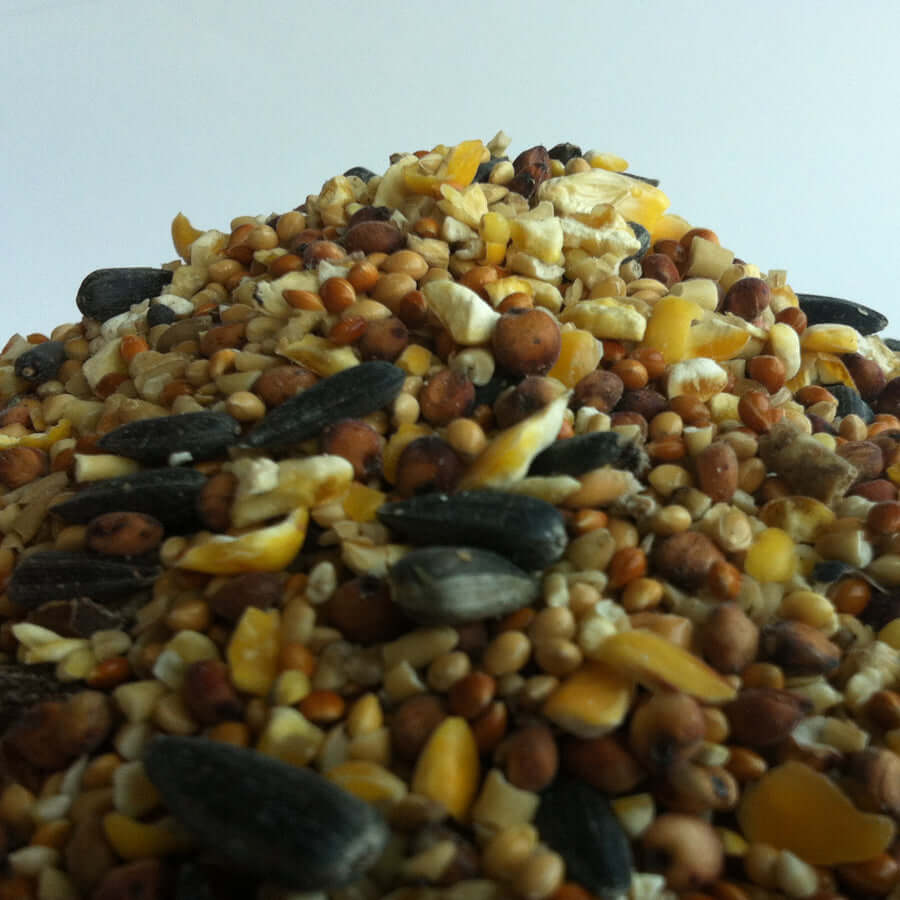 Seasonal wild bird food containing Rowan Berries, millet and Black Sunflower Seeds