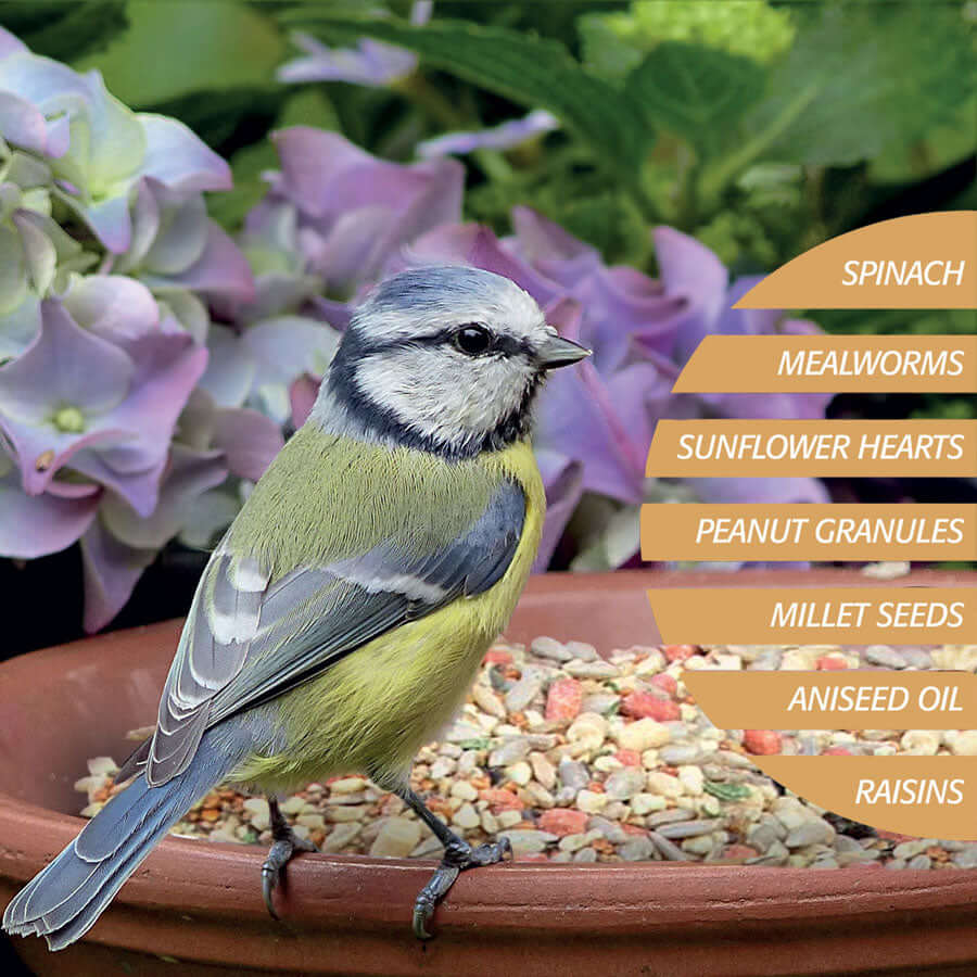 Fledge™ Bird Food- Optimal foraging