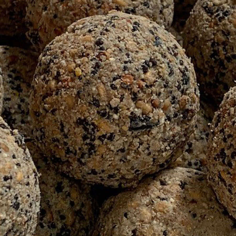 These fat balls will be popular with members of the tit family and even woodpeckers.