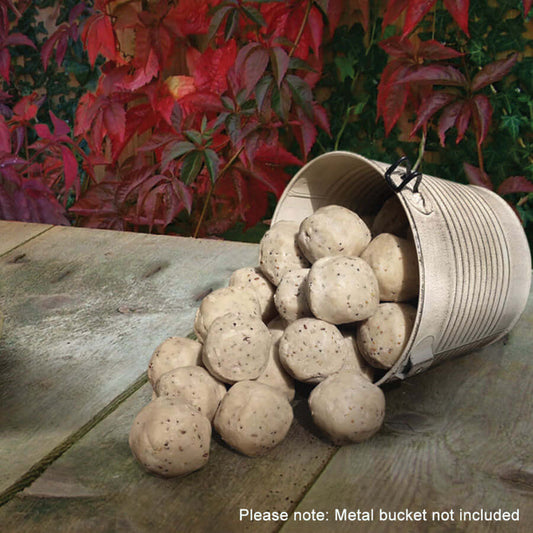 Soft suet balls for garden birds available in boxes of 50 or 100 