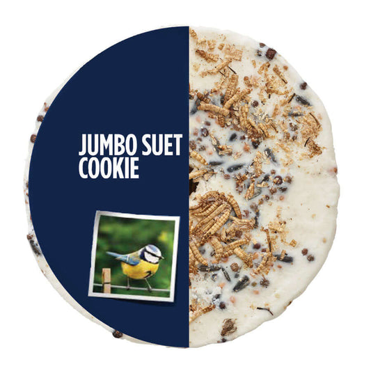 This suet cookie can be hung up or simply placed on the ground