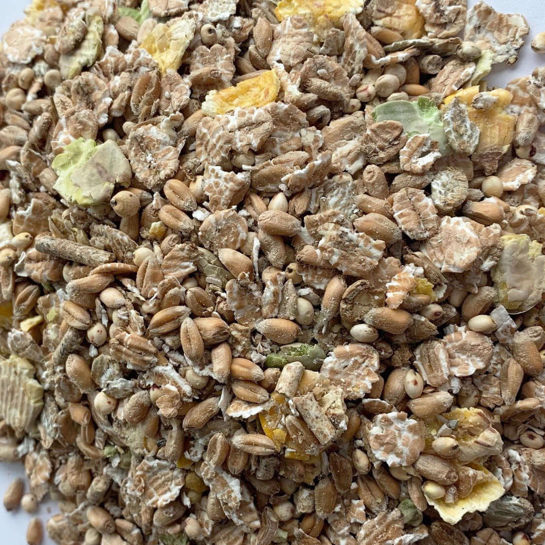 A mix of grains and cereals suitable for ducks, geese and swans.