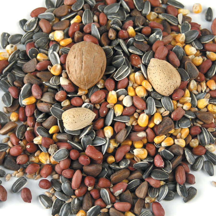 Haith's Squirrel Mix - a premium blend that contains Sunflower, Peanuts and Nuts in shells.