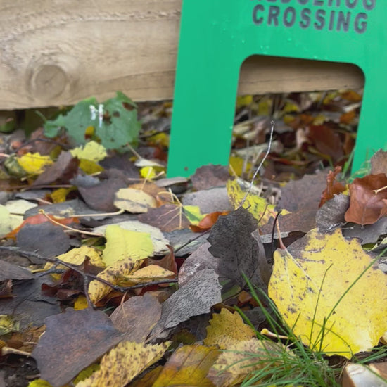 A video showing how Haith's Hedgehog Crossing allows hedgehogs to move freely from garden to garden.