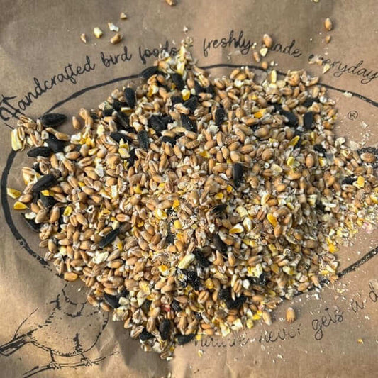 Cheap garden bird food blended with Black Sunflower and Maize, suitable for ground feeding and putting on a bird table.