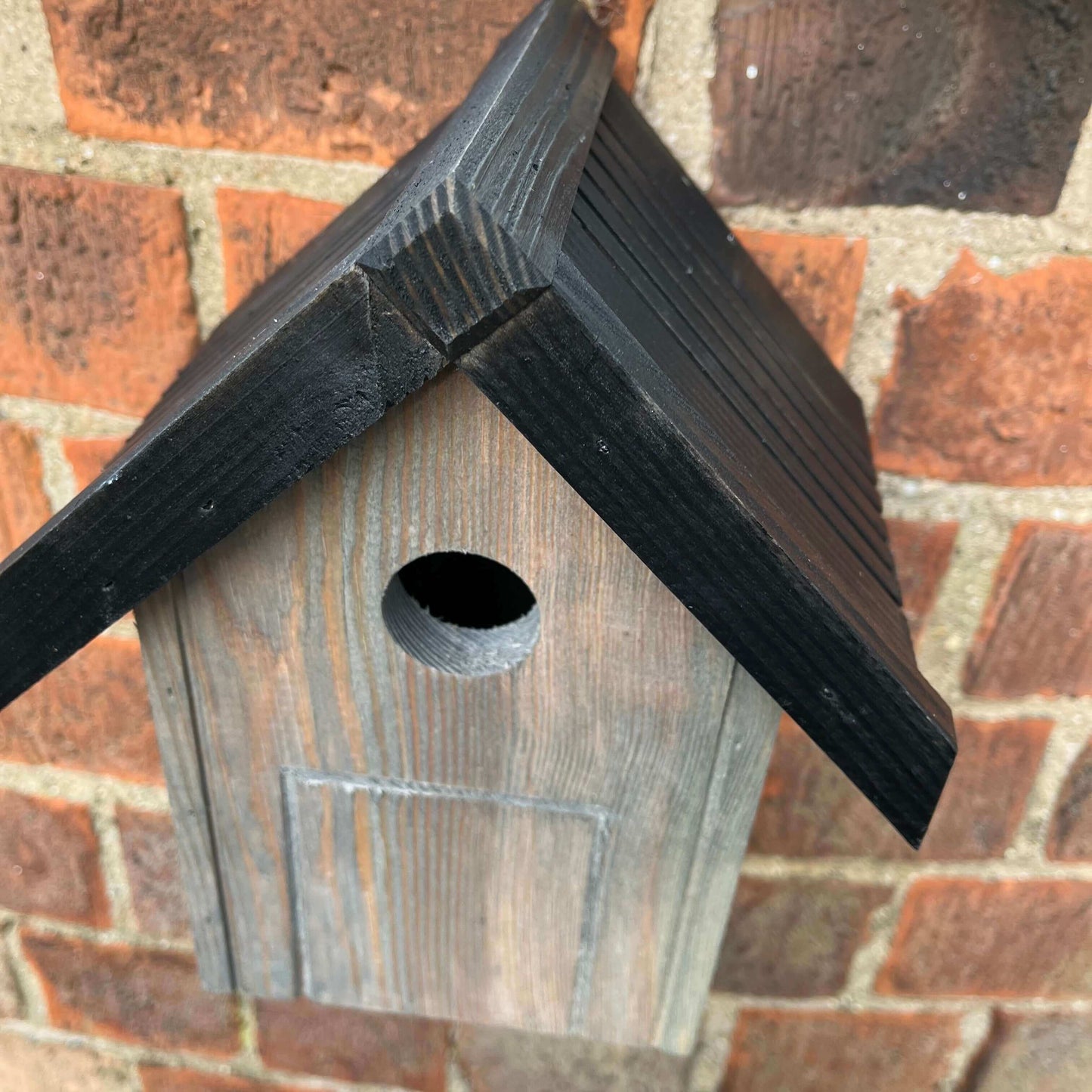 Nest box attached to a wall, ready for the breeding season.