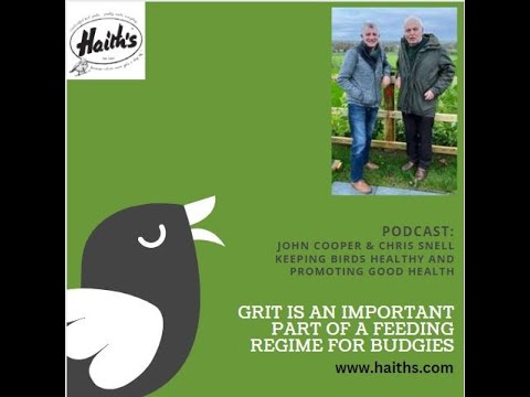 Have a listen to the podcast with Chris Snell champion budgie breeder and John Cooper our veterinary advisor about how grit is very benefical to all cage birds