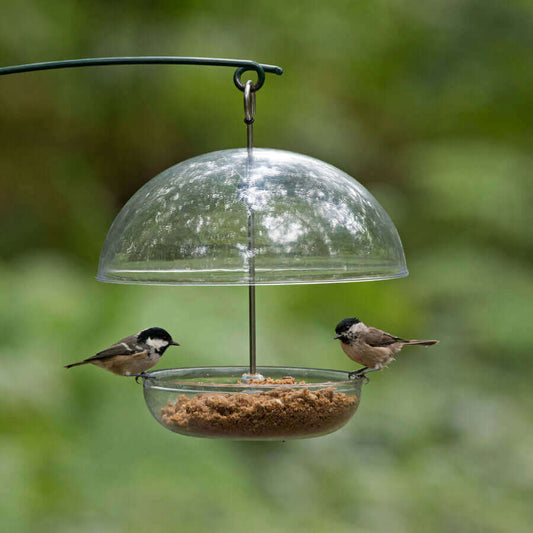 Two birds perched on the I Love Robin Feeder, with adjustable roof.  Suitable for Haith's Fat Robin soft foodmix.