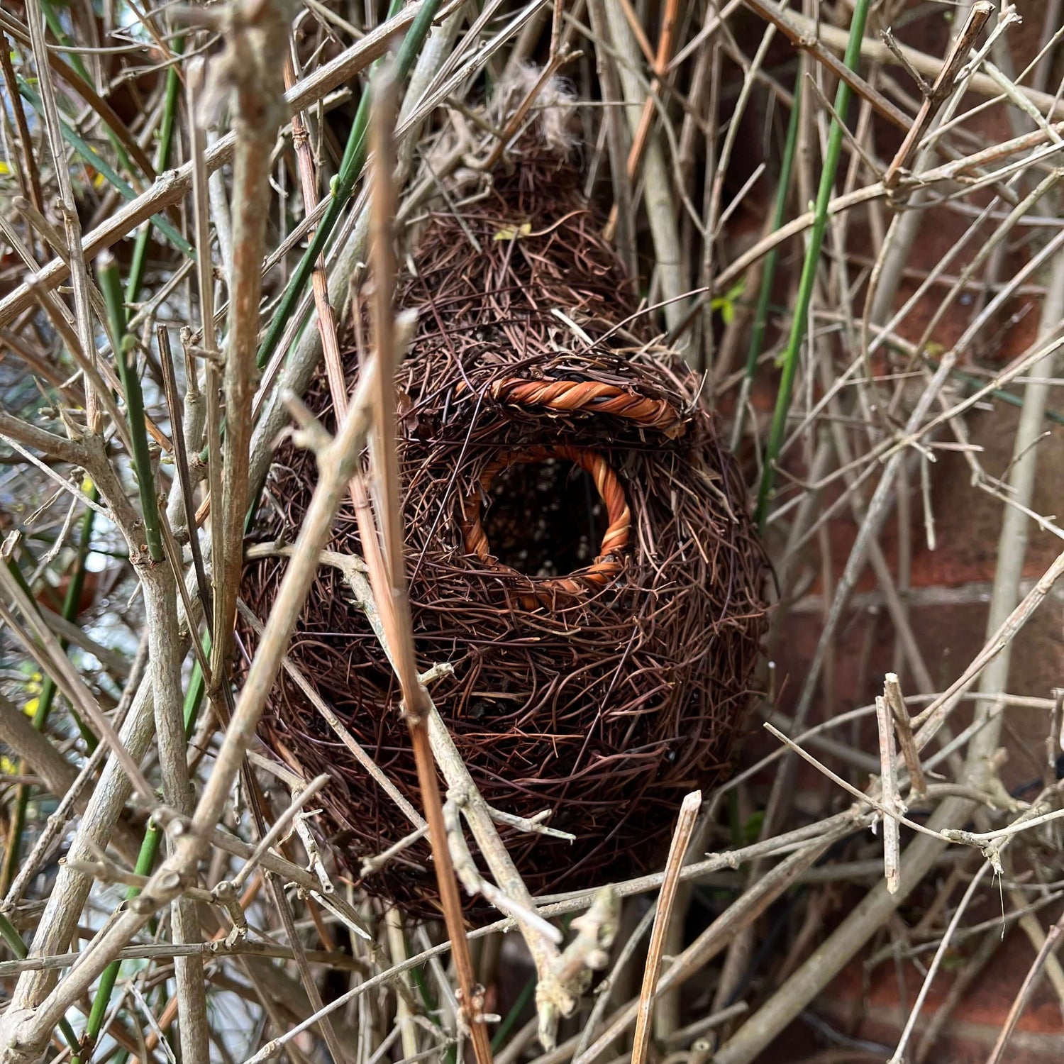 Natural-looking nest pouch with a brown, twiglike exterior. 
