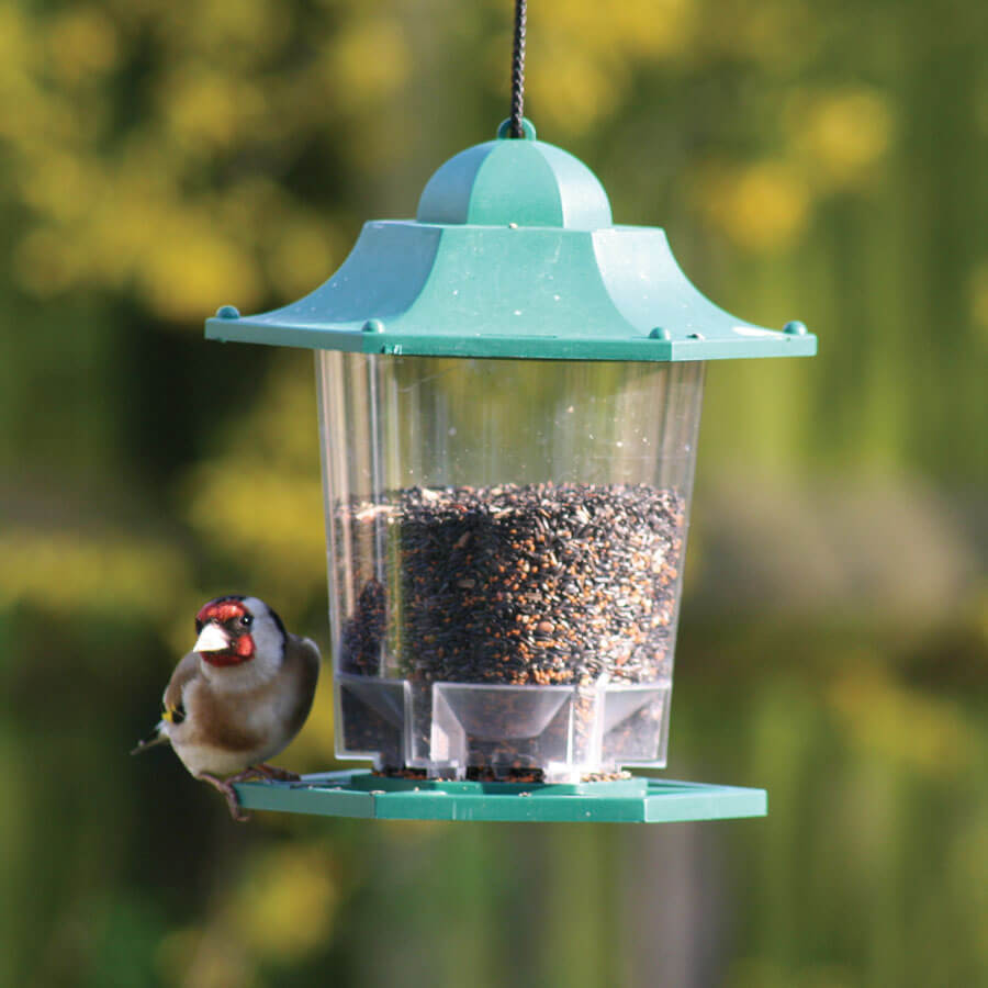 Green hanging lantern feeder filled with Goldfinch and Siskin Mix 